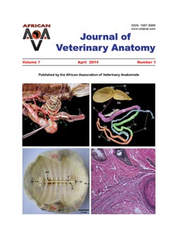 Journal of Veterinary Anatomy
