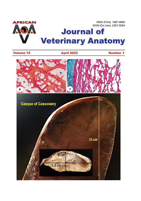 Journal of Veterinary Anatomy