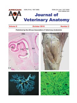 Journal of Veterinary Anatomy