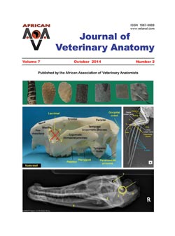 Journal of Veterinary Anatomy