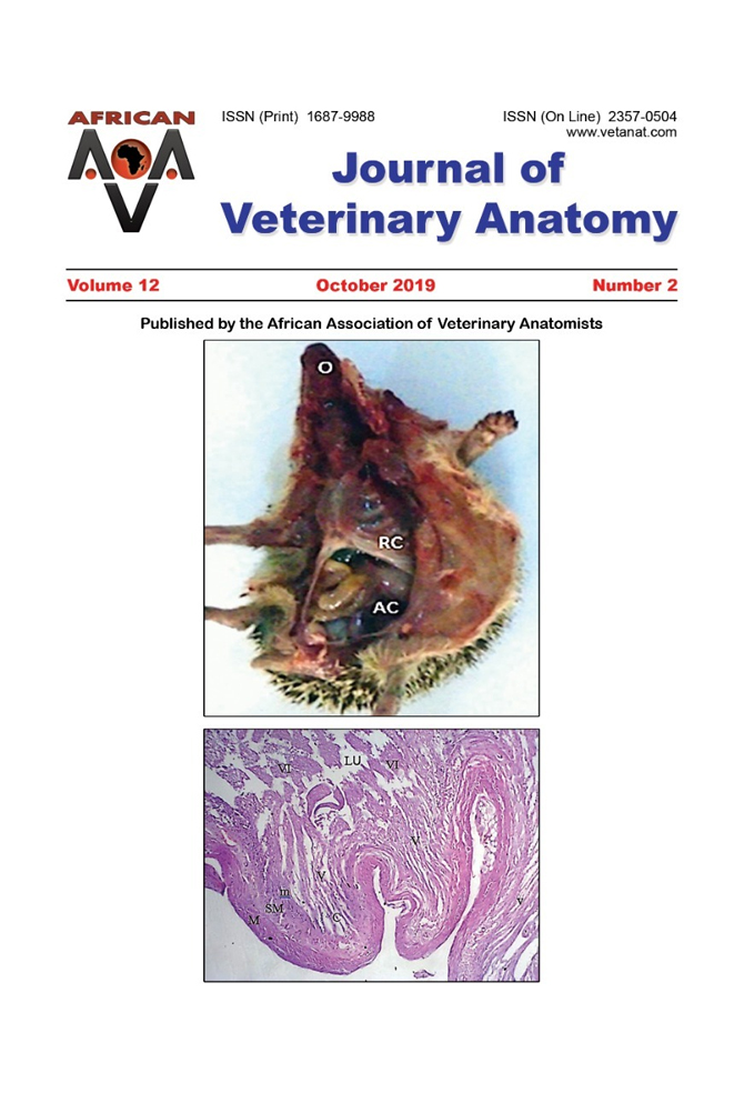Journal of Veterinary Anatomy