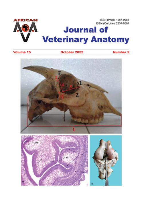 Journal of Veterinary Anatomy
