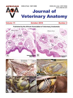 Journal of Veterinary Anatomy
