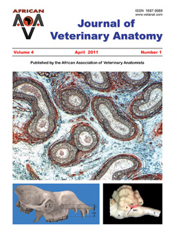Journal of Veterinary Anatomy