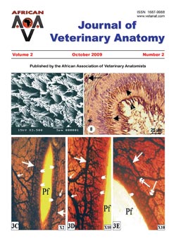 Journal of Veterinary Anatomy