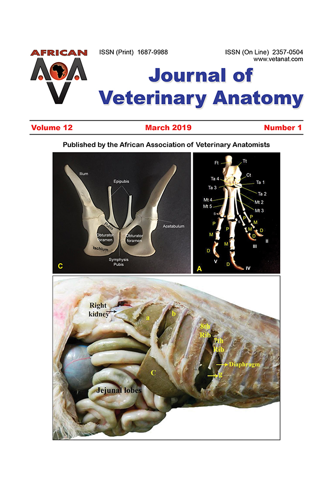 Journal of Veterinary Anatomy