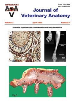 Journal of Veterinary Anatomy