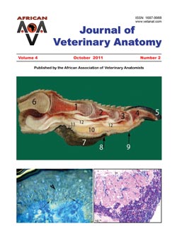 Journal of Veterinary Anatomy