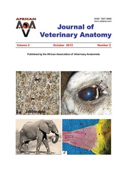Journal of Veterinary Anatomy