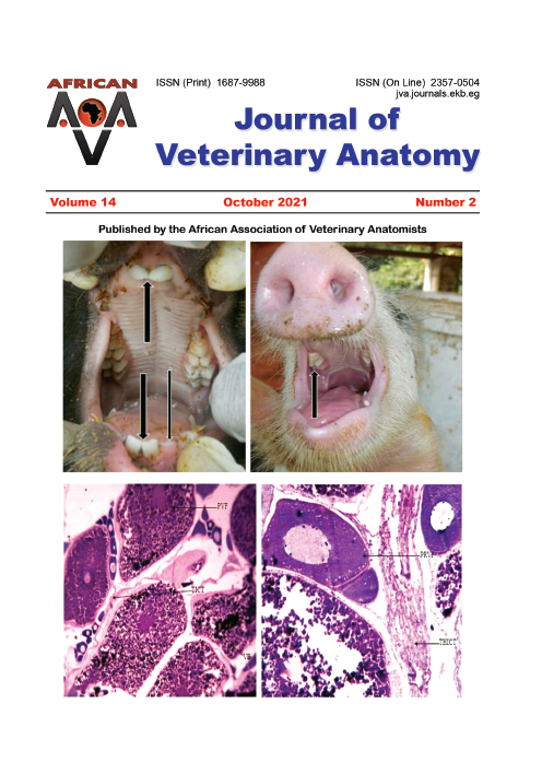Journal of Veterinary Anatomy