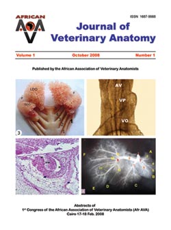 Journal of Veterinary Anatomy