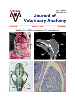 Journal of Veterinary Anatomy
