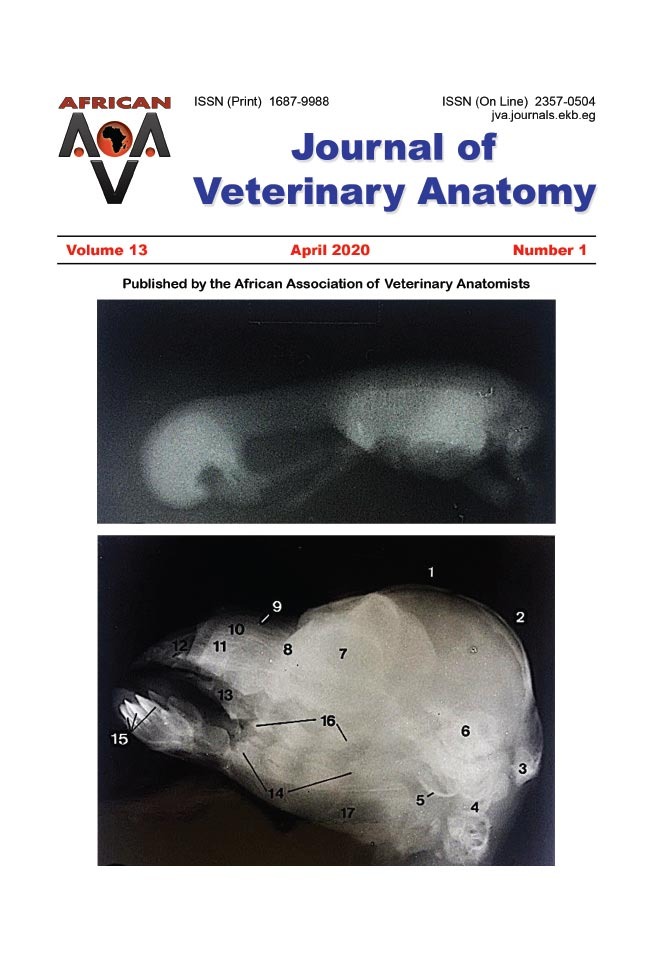 Journal of Veterinary Anatomy