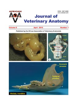 Journal of Veterinary Anatomy