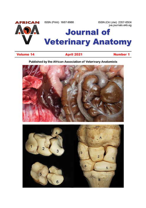 Journal of Veterinary Anatomy