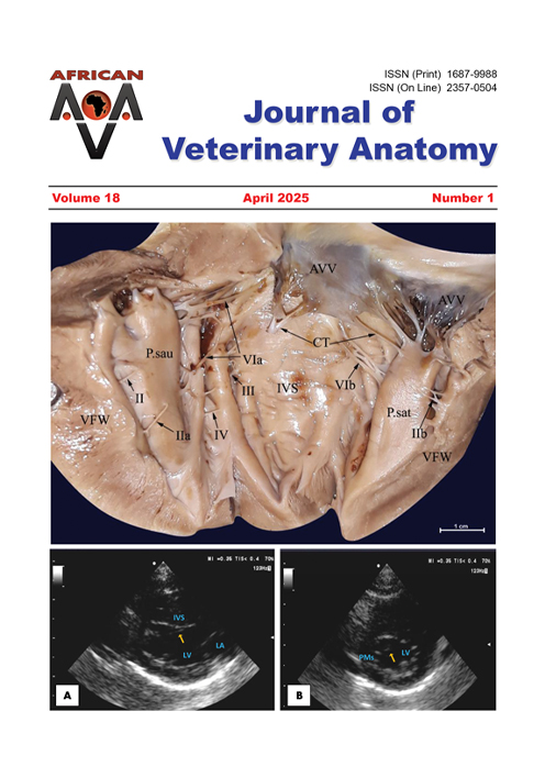 Journal of Veterinary Anatomy