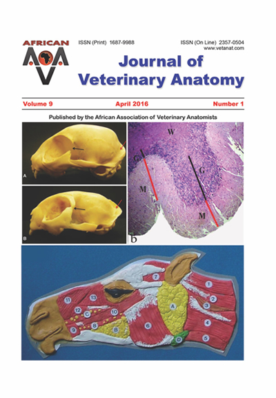 Journal of Veterinary Anatomy